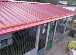 O Concello de Tui vén de rematar as obras de mellora nas canles do refuxio municipal de cans