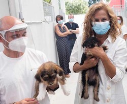 O CAAN da Deputación de Pontevedra xa as 500 adopcións neste 2020