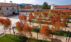 Tomiño conta xa con WIFI de balde na praza do Seixo