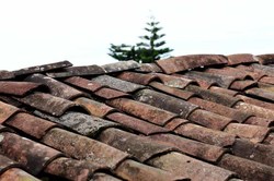 Infominho -  Munic�pio de Vila Nova de Cerveira j� tem em curso Estrat�gia Local de Habita�ao - 