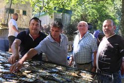 Infominho -  La Romera de San Roque rene a Arbo en una jornada de convivencia y cultura el 16 de agosto - 