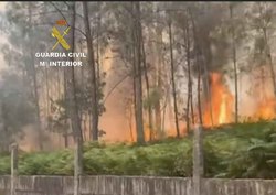 Infominho -  La Guardia Civil investiga a dos hombres por un incendio forestal en Salvaterra do Mio - 