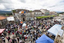 Infominho -  Arbo invita a artistas y diseadores a crear el cartel oficial de la Festa da Lamprea 2026 - 