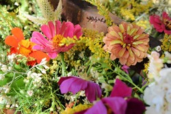 Infominho -  Entrega de Flores: Embellece Momentos desde el Minho a Madrid - 
