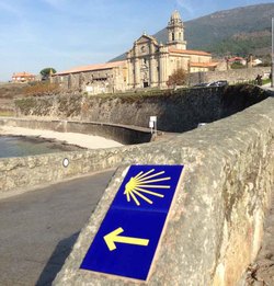Infominho -  La Xunta conectar la costa gallega de Ribadeo a A Guarda con una gran senda peatonal y ciclista de 1.300 kilmetros - 