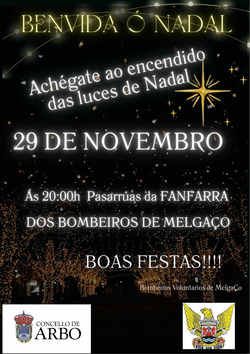 Infominho -  La llegada de la Navidad llena Arbo de luz y festividad - 