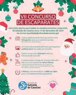 Infominho -  Salceda lanza el VII Concurso de Escaparates de Navidad para comercios y hostelera - 
