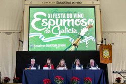 Infominho -  La Festa do Vio Espumoso de Salvaterra se impulsa como celebracin autonmica con el apoyo de la Xunta - 