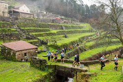 Infominho -  El Monte Aloia volver� a vibrar con el Trail do Aloia 2026: ya se pueden reservar dorsales - 