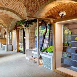 Infominho - Salvaterra de Miño consolida su atractivo turístico tras un 2025 de crecimiento y éxito - Infominho - Salvaterra de Miño consolida su atractivo turístico tras un 2025 de crecimiento y éxito -