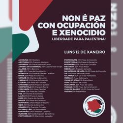 Infominho -  El Baixo Mi�o vuelve a alzar la voz por Palestina con concentraciones simult�neas este lunes - 