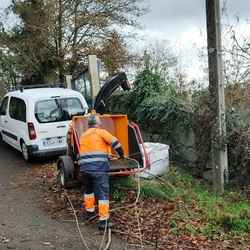 Infominho -  El Concello de Salceda realiza podas en varias parroquias para garantizar el alumbrado y fomentar el compostaje comunitario - 