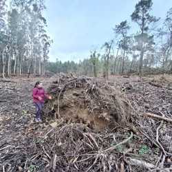 Infominho -  Terra Grovii alerta sobre la amenaza a un yacimiento �nico en Salvaterra de Mi�o - 