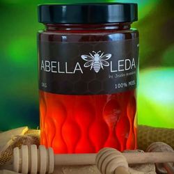 Infominho -  Abella Leda lleva el nombre de Salceda de Caselas a lo m�s alto del panorama ap�cola internacional - 