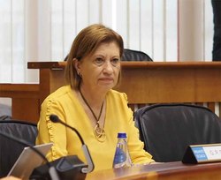 Infominho -  La parcelaria de Tomi�o llega al Parlamento: el PSdeG pide dotaci�n econ�mica en 2026 - 