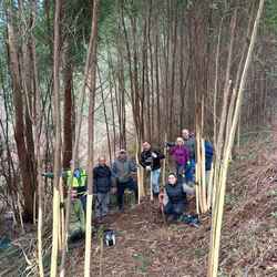 Infominho -  Salceda de Caselas cuida su entorno natural con una jornada de limpieza en San Xurxo - 
