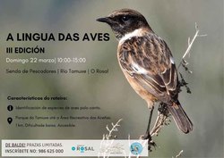 Infominho -  La naturaleza protagonista en O Rosal con una ruta guiada para reconocer aves - 