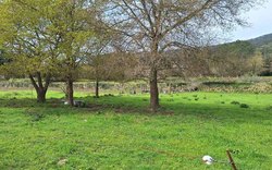 Infominho -  El traslado del Punto Limpio de A Guarda permitir� impulsar nuevas infraestructuras deportivas en A Sangri�a - 