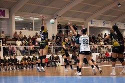 Infominho -  El Mecalia Guard�s visita Elche en plena crisis de resultados y con solo 12 jugadoras - 