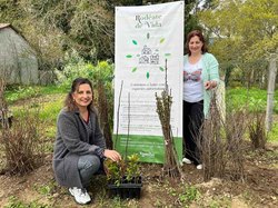 Infominho - Rodéate de Vida crece en Tomiño: 1.500 plantas para frenar incendios y ganar biodiversidad - Infominho - Rodéate de Vida crece en Tomiño: 1.500 plantas para frenar incendios y ganar biodiversidad -