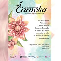 Infominho -  A Guarda acerca al p�blico los secretos de la camelia con una exposici�n al aire libre - 