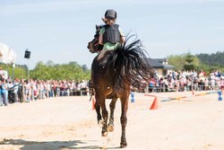 Infominho -  La tradici�n cabalar regresa con fuerza a Tui en las Festas de San Telmo 2026 - 