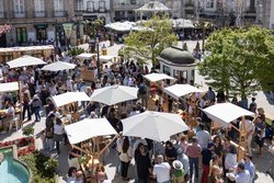 Infominho -  Tui brinda por San Telmo con el �xito del V Encontro de Vi�os da Raia - 