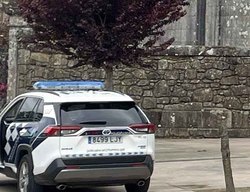 Infominho -  La Polic�a Local de Tomi�o identifica al autor de actos vand�licos en Goi�n - 