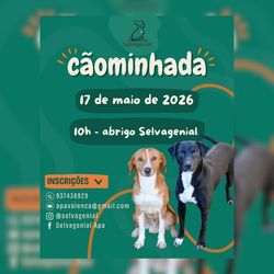 Infominho -  Valen�a organiza una -Caominhada- solidaria para promover el bienestar animal y la adopci�n - 