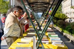 Infominho -  Tui celebr� las Letras Galegas con la �nica feria exclusiva de libros en gallego de Pontevedra - 