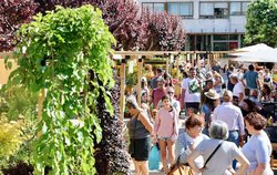 Infominho -  Tomi�o abre as portas � XXI Feira de Cultivos do Baixo Mi�o con tres d�as dedicados ao viveirismo galego - 