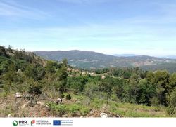 Infominho -  Vila Nova de Cerveira impulsa acciones de prevenci�n de incendios - 