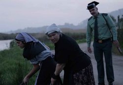 Infominho -  Vecinos de O Rosal recrean la historia del pisco en una jornada de memoria colectiva y patrimonio - 