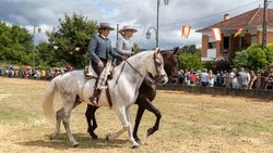 Infominho -  Tui celebra este lunes la tradicional Concentraci�n Cabalar de San Bartolomeu - 
