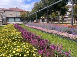 Infominho - Las plazas de O Seixo y A Mina estrenan nuevos jardines inspirados en la identidad viverista de Tomiño - Infominho - Las plazas de O Seixo y A Mina estrenan nuevos jardines inspirados en la identidad viverista de Tomiño -