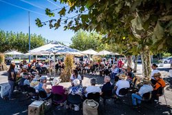 Infominho - Cerca de 100 usuarios de las IPSS de Cerveira reviven las tradicionales deshojadas del Alto Minho - Infominho - Cerca de 100 usuarios de las IPSS de Cerveira reviven las tradicionales deshojadas del Alto Minho -
