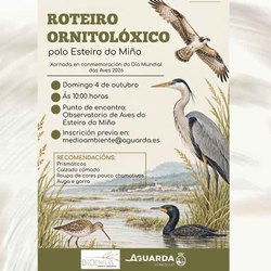 Infominho - Ruta por el Estuario del Miño para descubrir sus aves este 4 de octubre en A Guarda - Infominho - Ruta por el Estuario del Miño para descubrir sus aves este 4 de octubre en A Guarda -