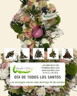 Infominho - Loyraflor encara los últimos días para reservar flores para Todos los Santos - Infominho - Loyraflor encara los últimos días para reservar flores para Todos los Santos -