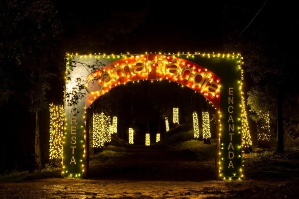 Infominho - Camarilandia rompe récords de visitantes en Caminha - Infominho - Camarilandia rompe récords de visitantes en Caminha -