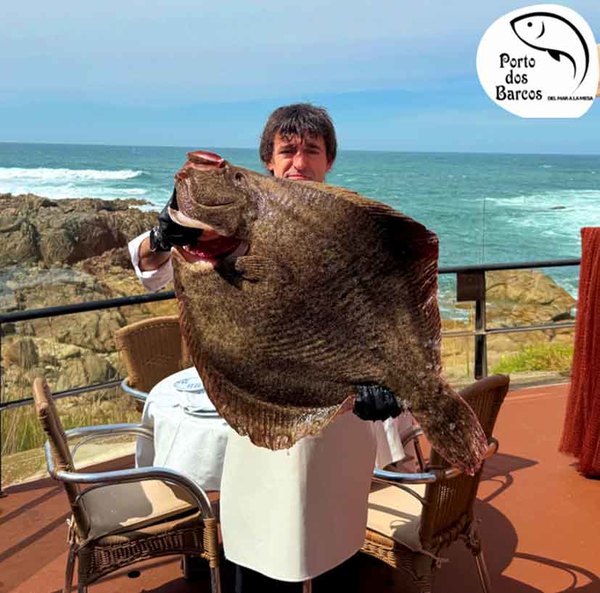 Infominho - Oia recupera uno de sus referentes gastronómicos: Porto dos Barcos vuelve el 13 de marzo - Infominho - Oia recupera uno de sus referentes gastronómicos: Porto dos Barcos vuelve el 13 de marzo -