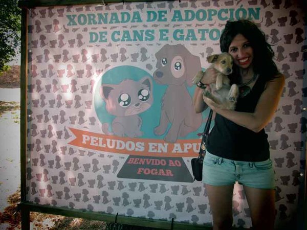 Infominho - La OMIX de Tomiño organiza una jornada de adopción de perros y gatos este sábado - Infominho - La OMIX de Tomiño organiza una jornada de adopción de perros y gatos este sábado -