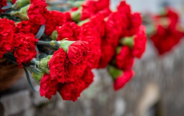 Infominho -  Caminha celebrar� el 25 de Abril entre m�sica, memoria y homenaje a la libertad - 