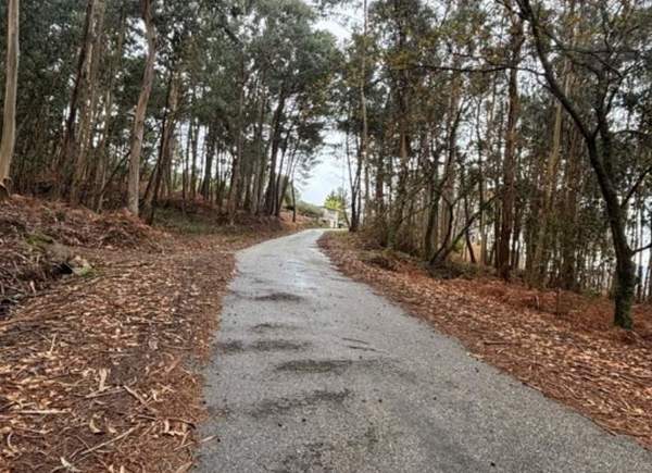 Infominho -  Arbo acometer� la mejora del vial entre As Laxas y Vilar mediante un convenio con Montouto 2000 - 
