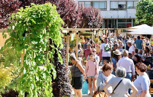 Infominho -  Tomi�o abre as portas � XXI Feira de Cultivos do Baixo Mi�o con tres d�as dedicados ao viveirismo galego - 