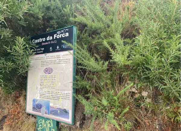 Infominho -  La Comunidad de Montes de A Guarda reclama por tercera vez la limpieza del Castro da Forca - 