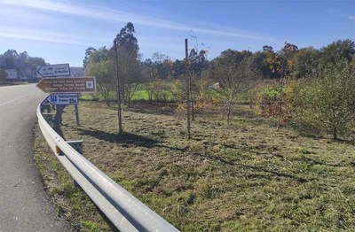 La Xunta continúa esta semana trabajos de desbroce y limpieza en los márgenes de la vía de altas prestaciones Tomiño-A Guarda La Xunta continúa esta semana trabajos de desbroce y limpieza en los márgenes de la vía de altas prestaciones Tomiño-A Guarda